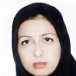 تصویر دکتر شباهنگ موسوی