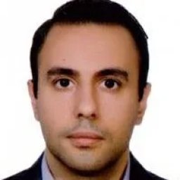 تصویر دکتر شهاب‌الدین گودرزی