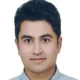 تصویر دکتر رامین برکوئی