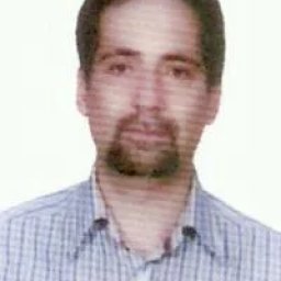 تصویر دکتر مجید ابری