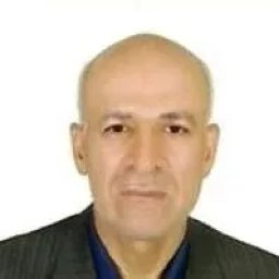 تصویر دکتر سید محمدحسین محمودی
