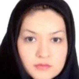 تصویر دکتر مینا جهانی هیوه‌چی