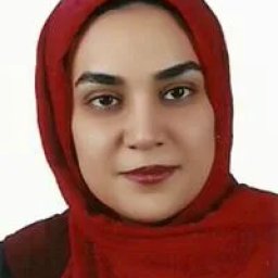 تصویر دکتر اکرم احساسات وطن