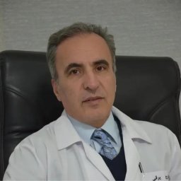 تصویر دکتر ایرج برقی