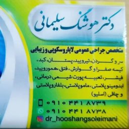 تصویر دکتر هوشنگ سلیمانی اصل