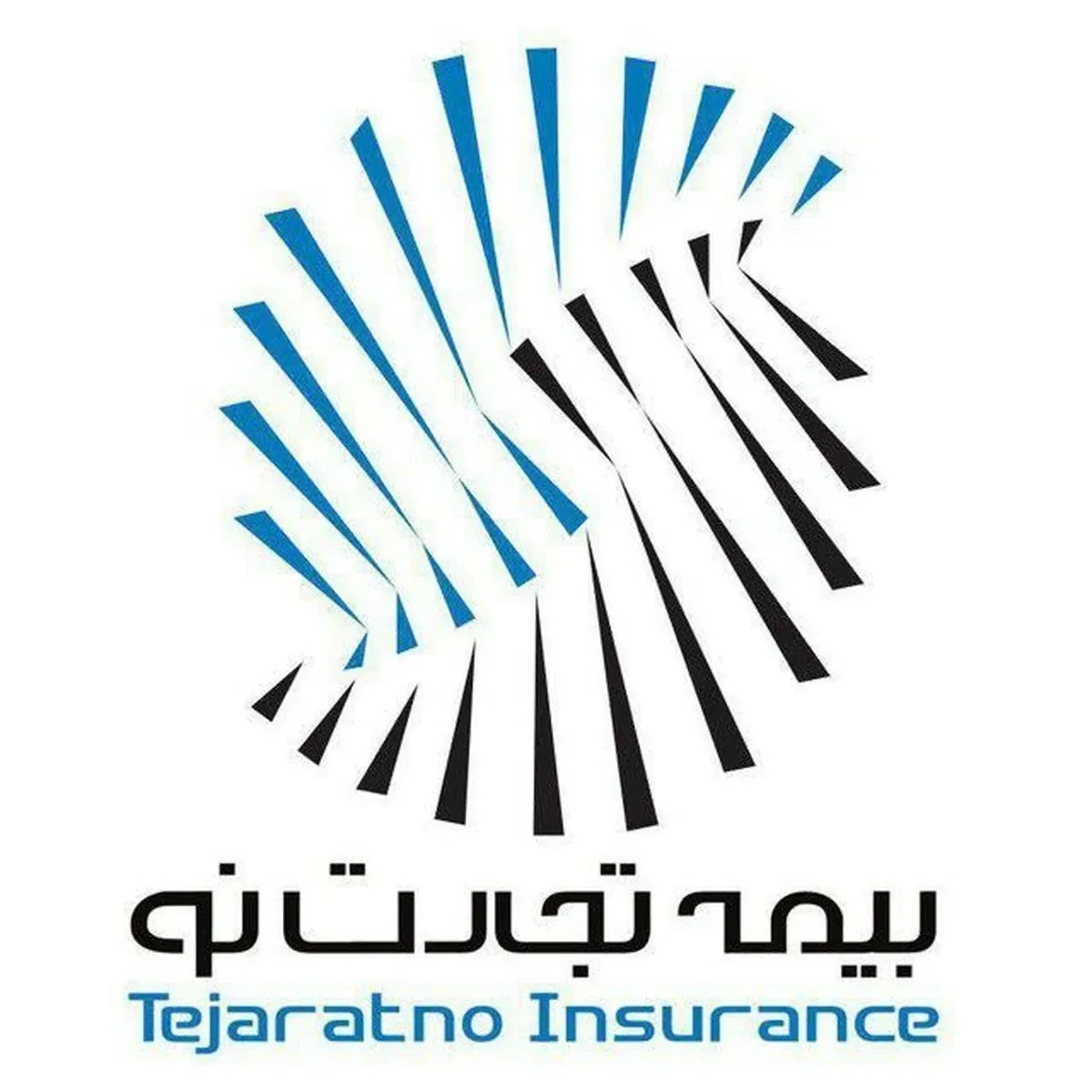 لوگوی تجارت نو